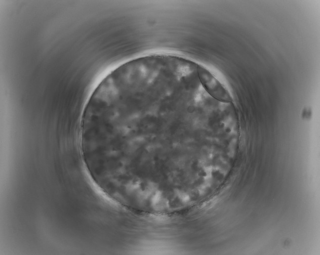 X0000091090911200709041300