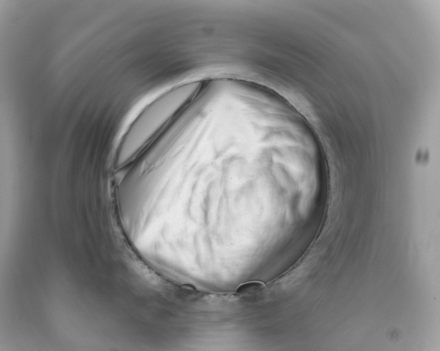 X0000091090912200709041300