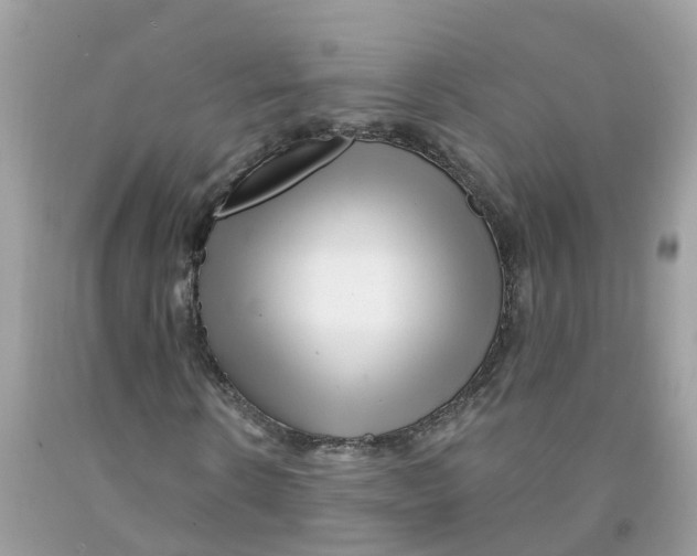 X0000091090914200709041259
