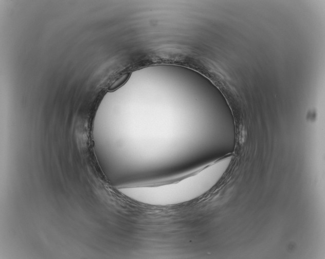 X0000091090915200709041259