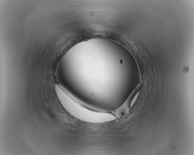 X0000091090916200709041259