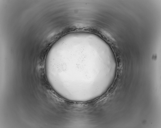 X0000091090917200709041259
