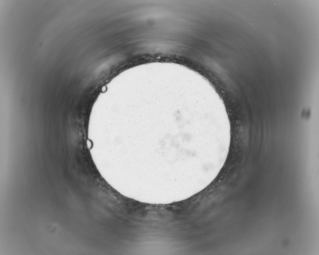 X0000091090918200709041259