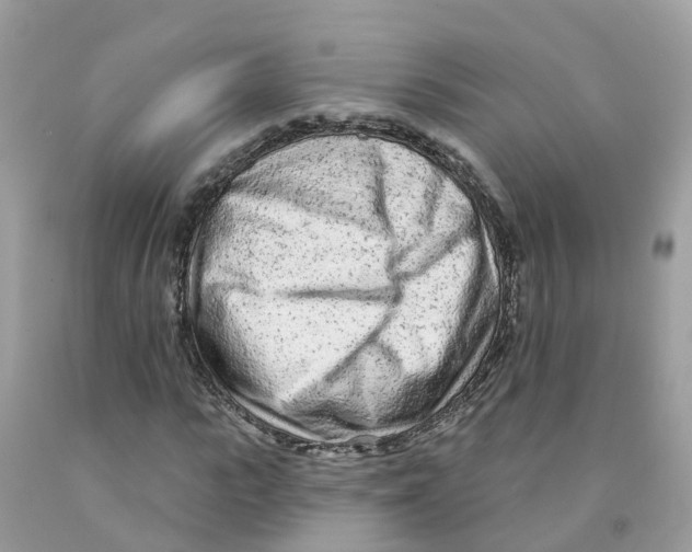 X0000091090919200709041259