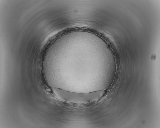 X0000091090920200709041259