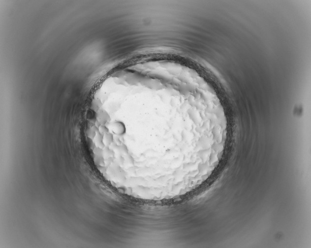 X0000091090921200709041259