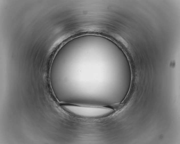 X0000091090922200709041259