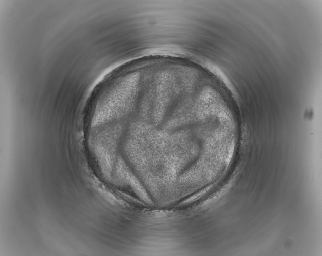 X0000091090923200709041259