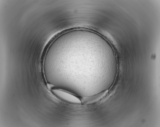 X0000091090924200709041259
