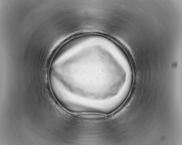 X0000091090925200709041259