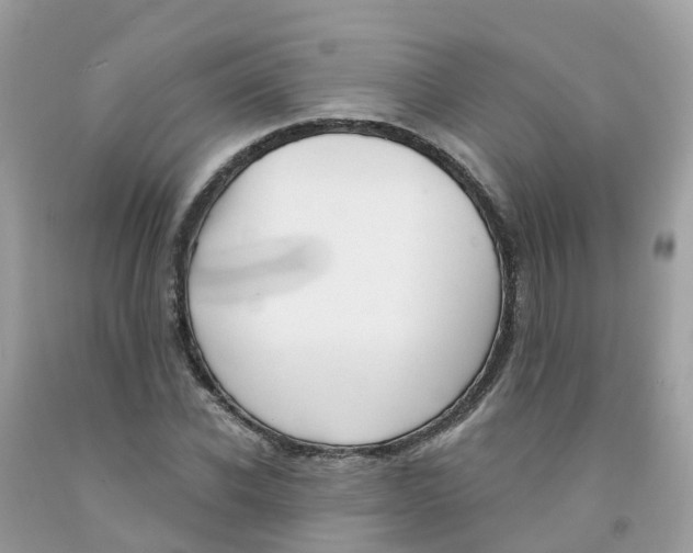 X0000091090926200709041259