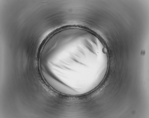 X0000091090927200709041259
