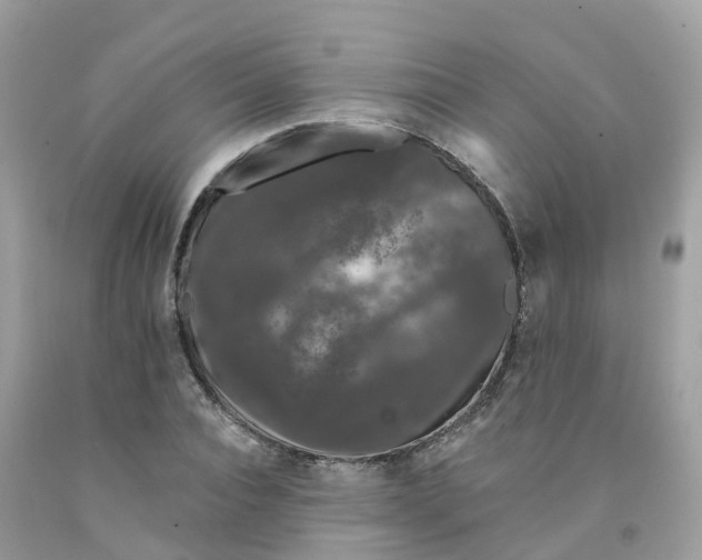X0000091090928200709041259
