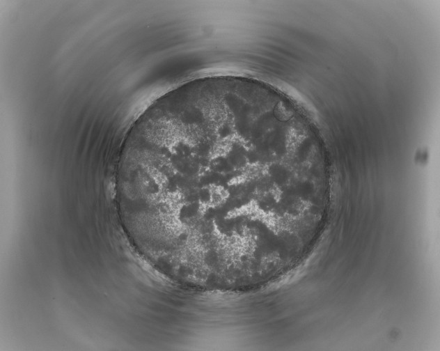 X0000091090929200709041259