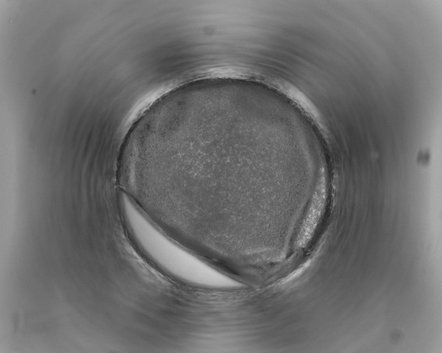 X0000091090930200709041259