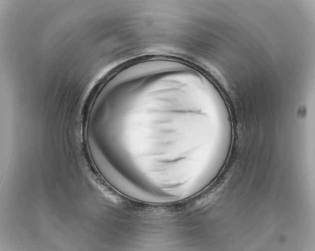 X0000091090931200709041259