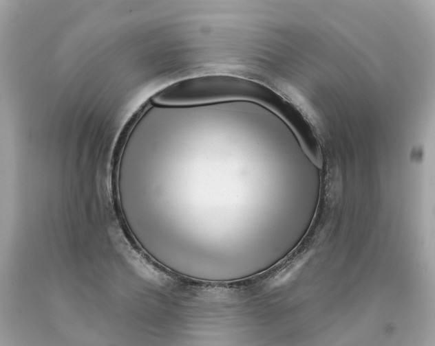 X0000091090932200709041259