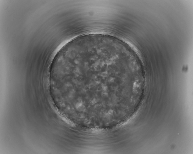 X0000091090933200709041259