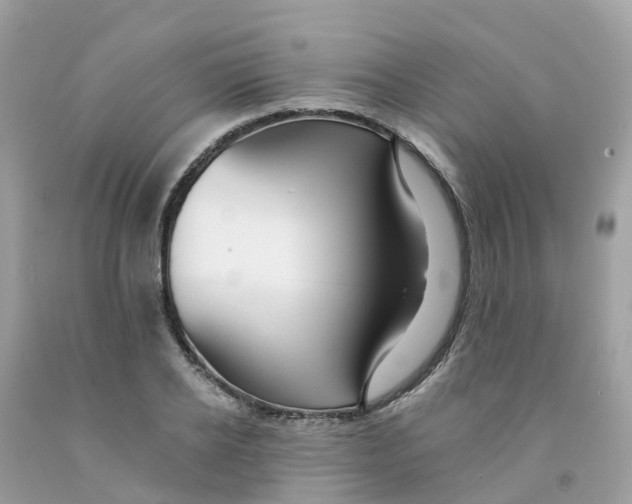 X0000091090934200709041259