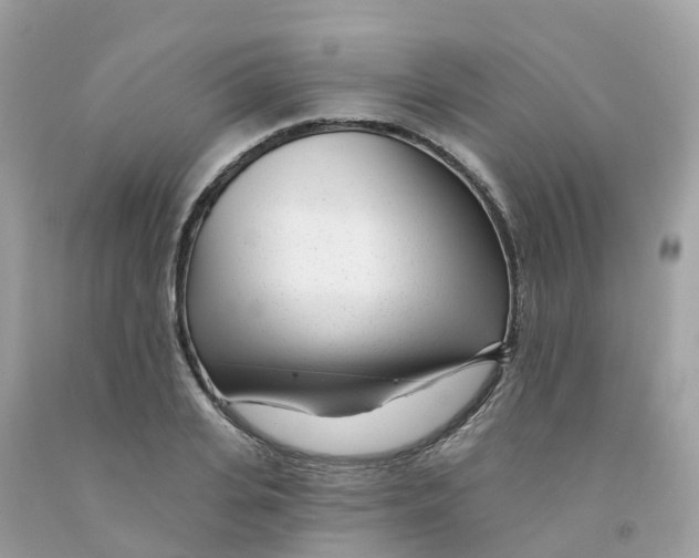 X0000091090935200709041259