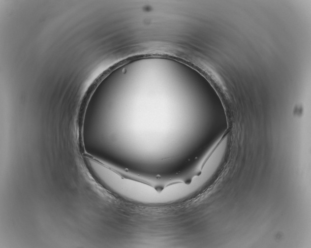 X0000091090936200709041259