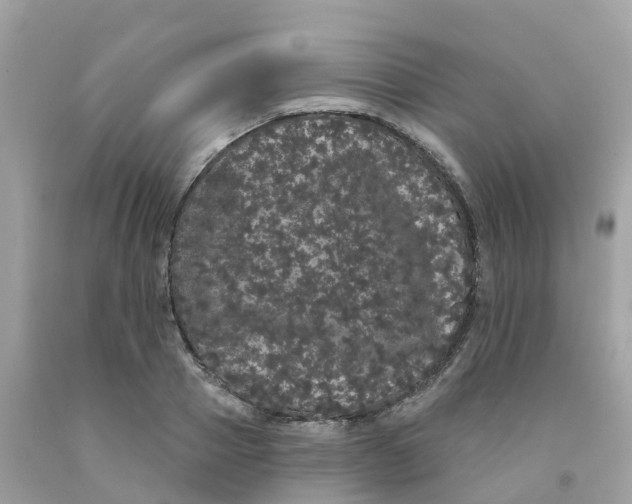 X0000091090937200709041259