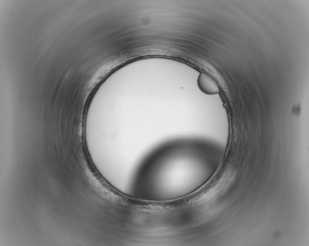 X0000091090938200709041259