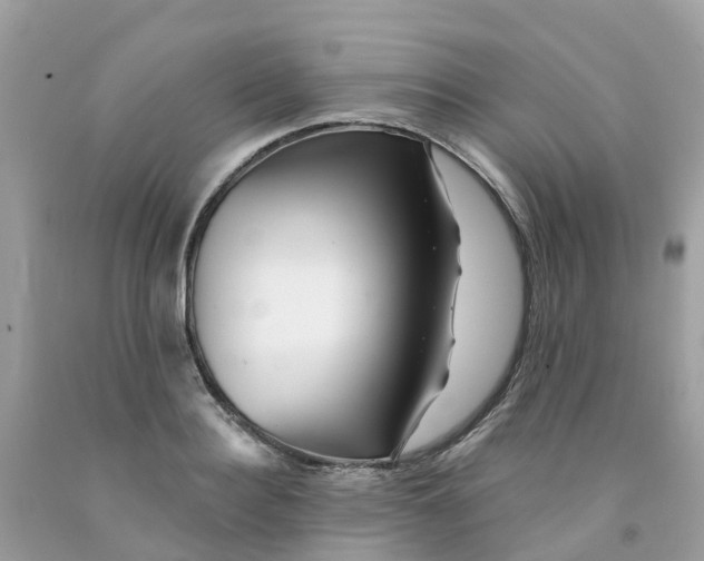 X0000091090940200709041259
