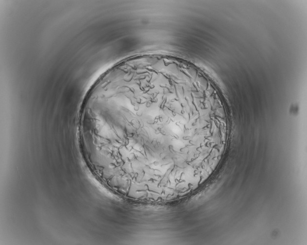 X0000091090941200709041259