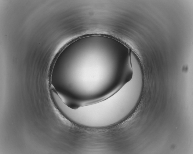 X0000091090942200709041259