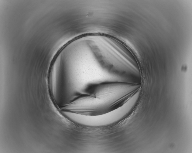 X0000091090943200709041259
