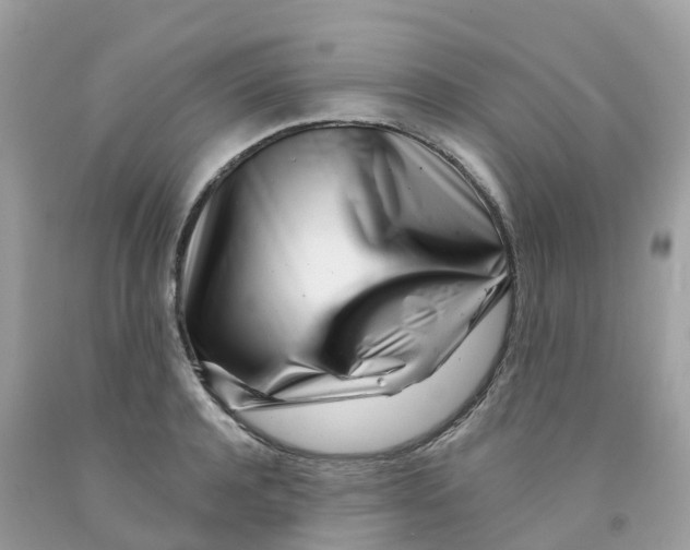 X0000091090944200709041259