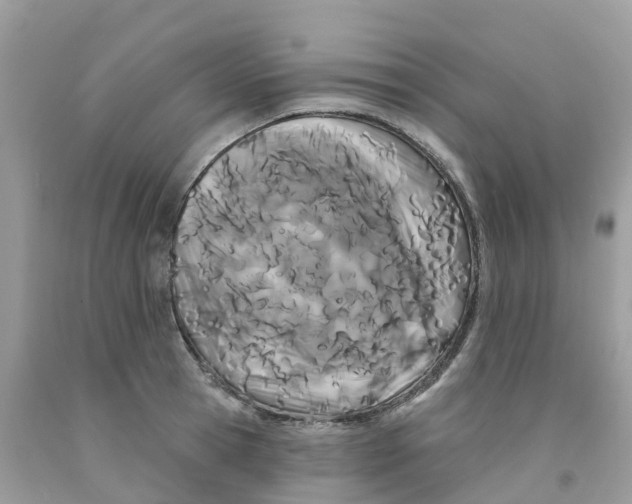 X0000091090945200709041259