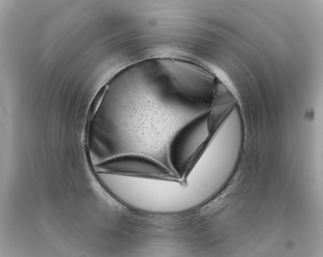 X0000091090946200709041300