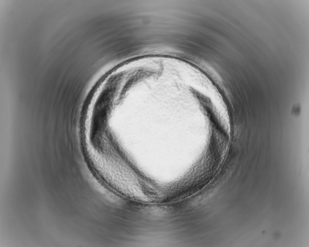 X0000091090947200709041300