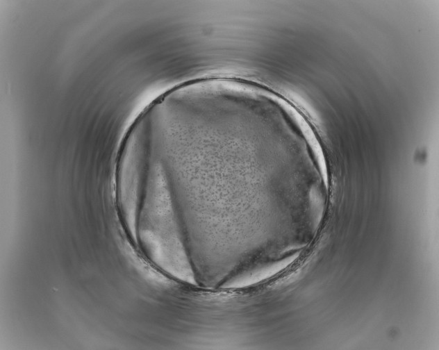 X0000091090948200709041300