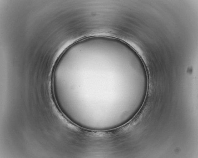 X0000091090949200709041300