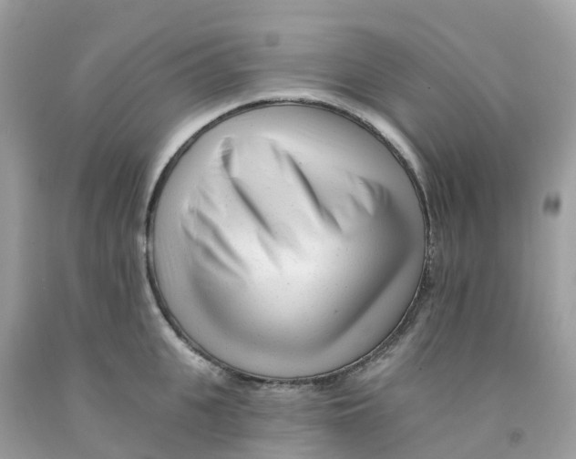 X0000091090951200709041300