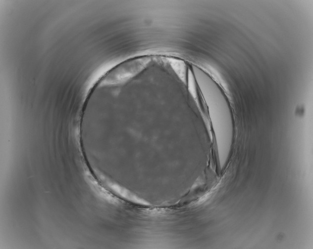 X0000091090952200709041300