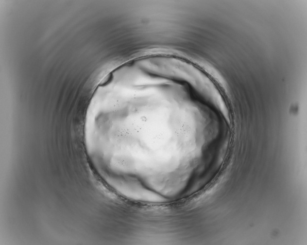 X0000091090953200709041300