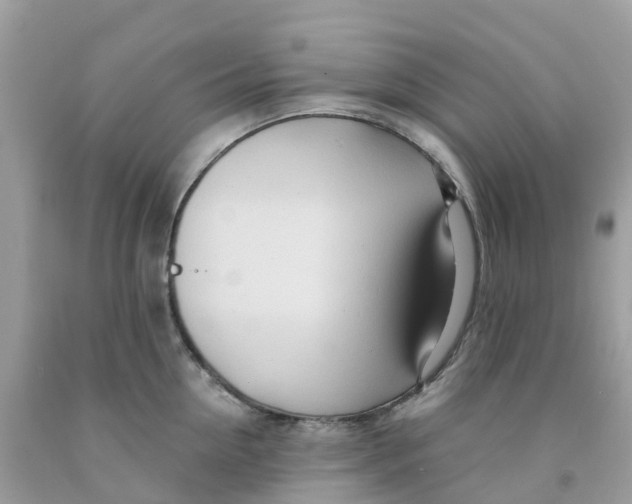 X0000091090954200709041300