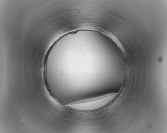 X0000091090955200709041300