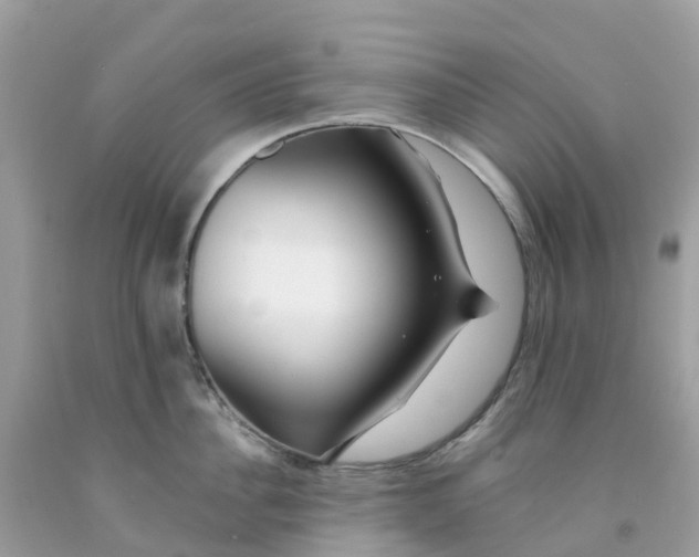 X0000091090956200709041300