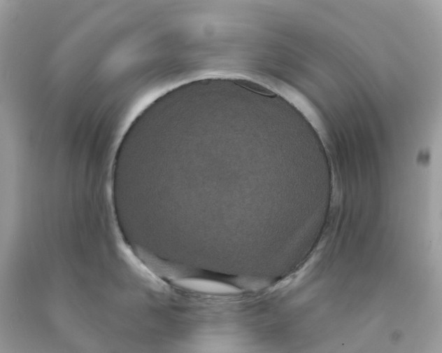 X0000091090958200709041300