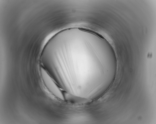 X0000091090960200709041300