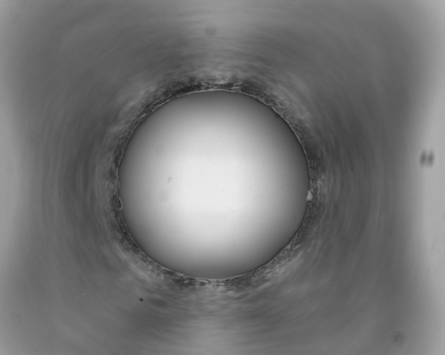 X0000091090961200709041259
