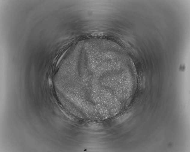 X0000091090962200709041259