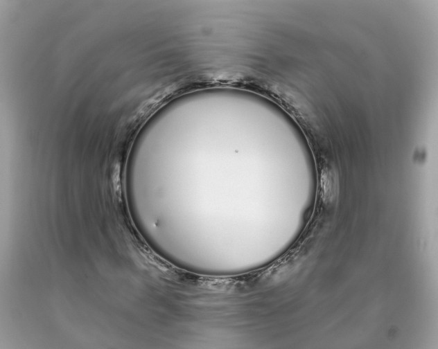 X0000091090963200709041259