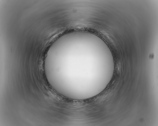 X0000091090964200709041259