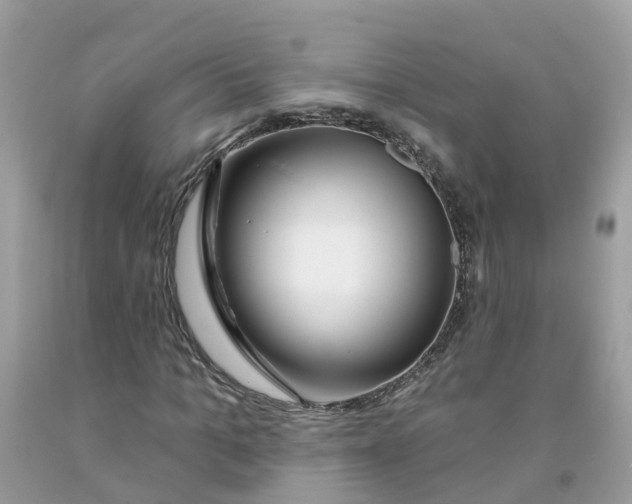 X0000091090965200709041259